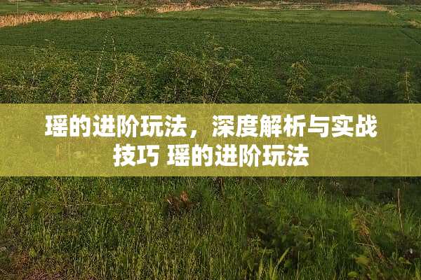 瑶的进阶玩法,深度解析与实战技巧 瑶的进阶玩法 瑶的进阶玩法,深度解析与实战技巧 瑶的进阶玩法