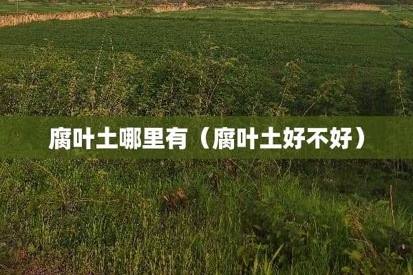 腐叶土哪里有(腐叶土好不好) 腐叶土哪里有(腐叶土好不好)