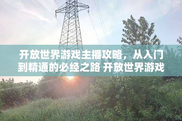 开放世界游戏主播攻略,从入门到精通的必经之路 开放世界游戏主播攻略 开放世界游戏主播攻略,从入门到精通的必经之路 开放世界游戏主播攻略