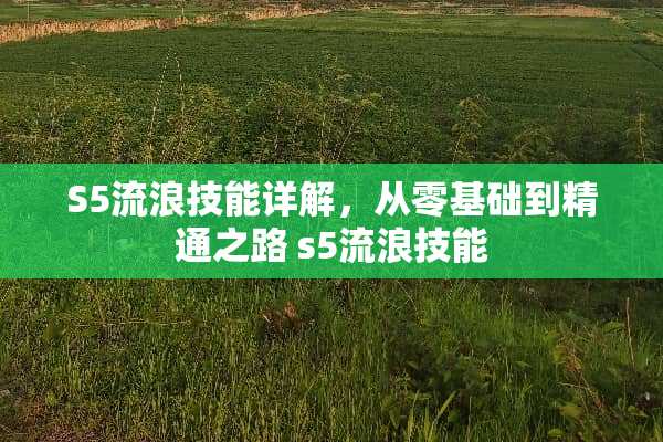 S5流浪技能详解，从零基础到精通之路 s5流浪技能