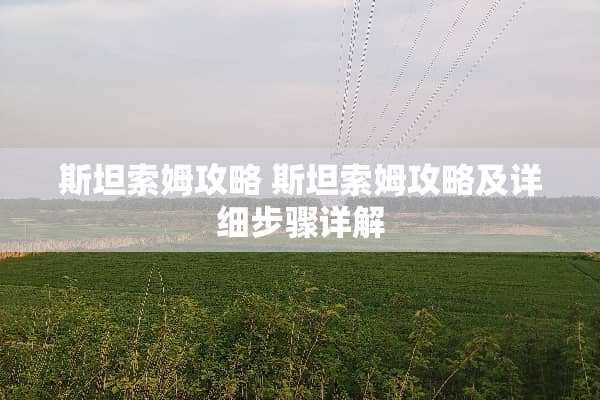 斯坦索姆攻略 斯坦索姆攻略及详细步骤详解 斯坦索姆攻略 斯坦索姆攻略及详细步骤详解