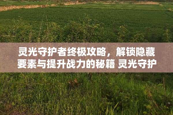 灵光守护者终极攻略,解锁隐藏要素与提升战力的秘籍 灵光守护者攻略 灵光守护者终极攻略,解锁隐藏要素与提升战力的秘籍 灵光守护者攻略