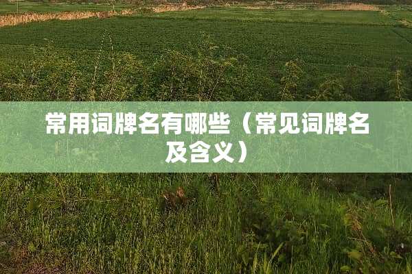 常用词牌名有哪些(常见词牌名及含义) 常用词牌名有哪些(常见词牌名及含义)