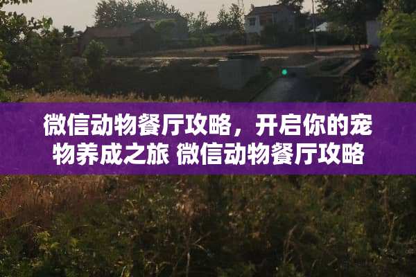微信动物餐厅攻略，开启你的宠物养成之旅 微信动物餐厅攻略
