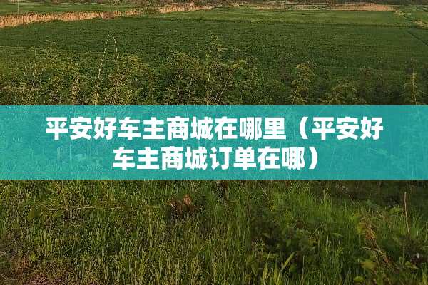 平安好车主商城在哪里(平安好车主商城订单在哪) 平安好车主商城在哪里(平安好车主商城订单在哪)