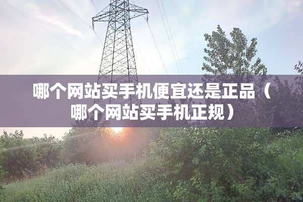 哪个网站买手机便宜还是正品(哪个网站买手机正规) 哪个网站买手机便宜还是正品(哪个网站买手机正规)