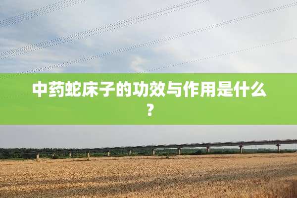中药蛇床子的功效与作用是什么？