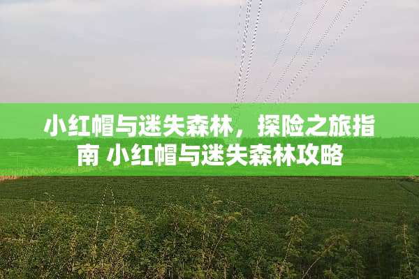 小红帽与迷失森林,探险之旅指南 小红帽与迷失森林攻略 小红帽与迷失森林,探险之旅指南 小红帽与迷失森林攻略