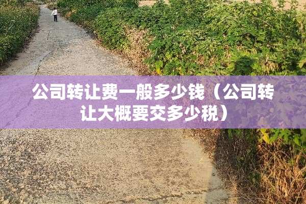 公司转让费一般多少钱（公司转让大概要交多少税）