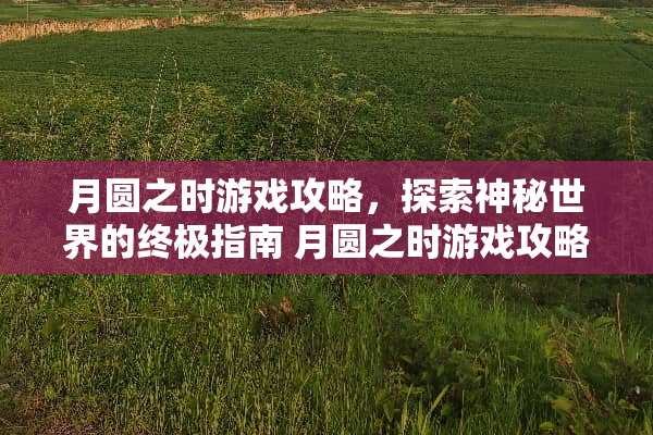 月圆之时游戏攻略,探索神秘世界的终极指南 月圆之时游戏攻略 月圆之时游戏攻略,探索神秘世界的终极指南 月圆之时游戏攻略