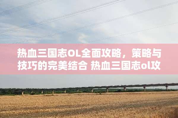 热血三国志OL全面攻略,策略与技巧的完美结合 热血三国志ol攻略 热血三国志OL全面攻略,策略与技巧的完美结合 热血三国志ol攻略