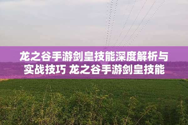 龙之谷手游剑皇技能深度解析与实战技巧 龙之谷手游剑皇技能