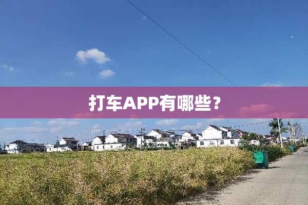 打车APP有哪些？