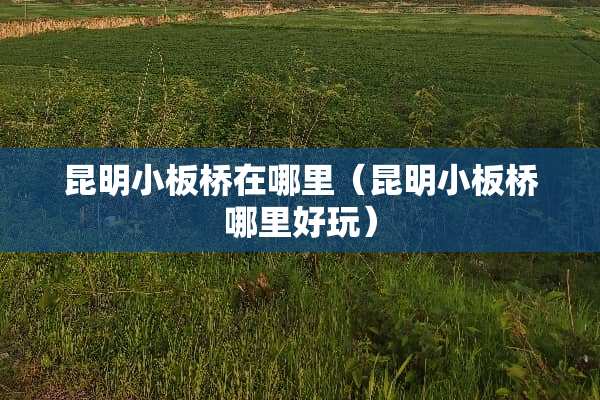 昆明小板桥在哪里(昆明小板桥哪里好玩) 昆明小板桥在哪里(昆明小板桥哪里好玩)