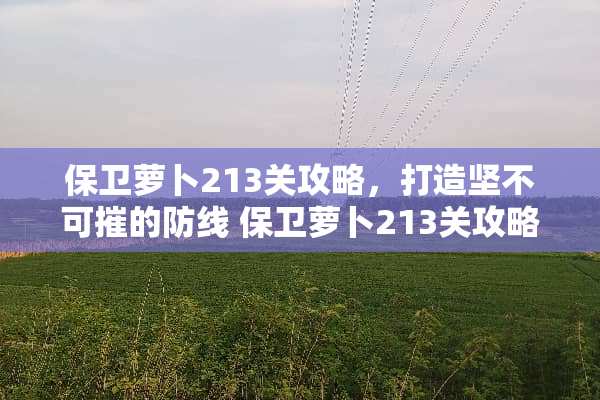 保卫萝卜213关攻略,打造坚不可摧的防线 保卫萝卜213关攻略 保卫萝卜213关攻略,打造坚不可摧的防线 保卫萝卜213关攻略
