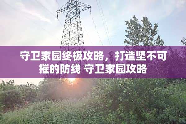 守卫家园终极攻略，打造坚不可摧的防线 守卫家园攻略