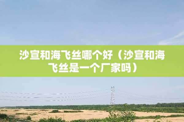 沙宣和海飞丝哪个好(沙宣和海飞丝是一个厂家吗) 沙宣和海飞丝哪个好(沙宣和海飞丝是一个厂家吗)