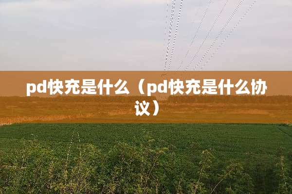 pd快充是什么（pd快充是什么协议）