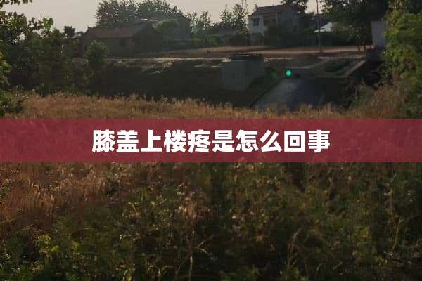 膝盖上楼疼是怎么回事 膝盖上楼疼是怎么回事