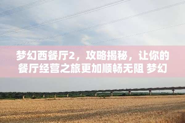 梦幻西餐厅2，攻略揭秘，让你的餐厅经营之旅更加顺畅无阻 梦幻西餐厅2攻略