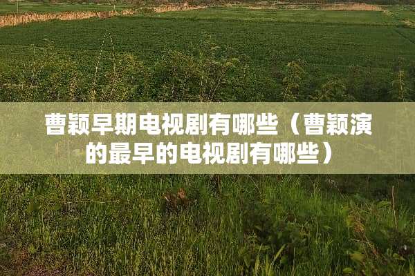 曹颖早期电视剧有哪些（曹颖演的最早的电视剧有哪些）