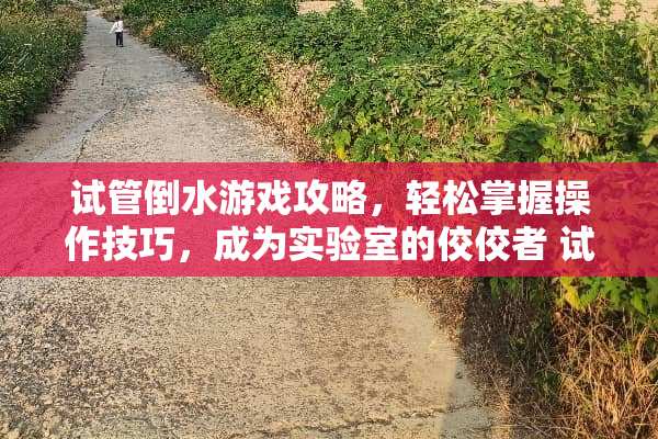试管倒水游戏攻略,轻松掌握操作技巧,成为实验室的佼佼者 试管倒水游戏攻略148 试管倒水游戏攻略,轻松掌握操作技巧,成为实验室的佼佼者 试管倒水游戏攻略148