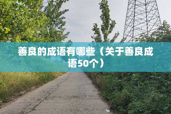 善良的成语有哪些（关于善良成语50个）