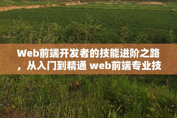 Web前端开发者的技能进阶之路,从入门到精通 web前端专业技能 Web前端开发者的技能进阶之路,从入门到精通 web前端专业技能