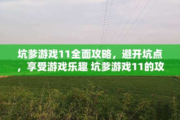 坑爹游戏11全面攻略，避开坑点，享受游戏乐趣 坑爹游戏11的攻略大全