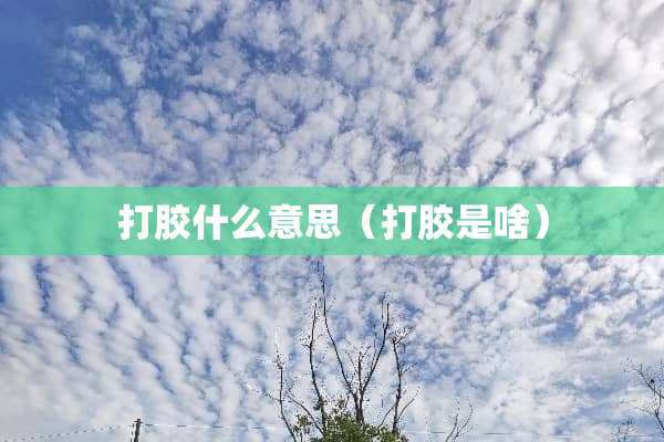 打胶什么意思（打胶是啥）