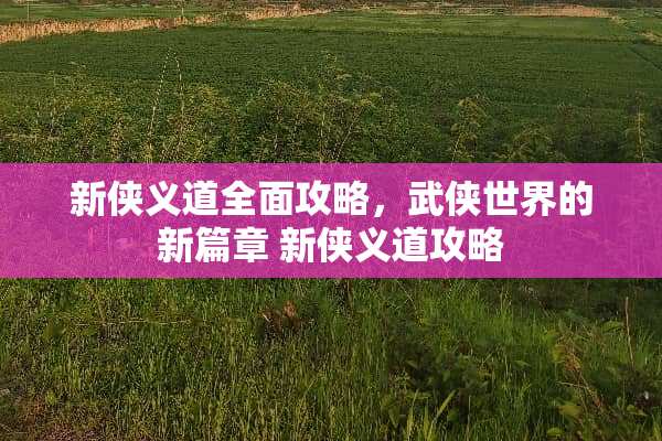 新侠义道全面攻略，武侠世界的新篇章 新侠义道攻略