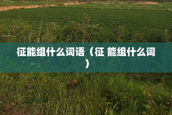征能组什么词语(征 能组什么词) 征能组什么词语(征 能组什么词)