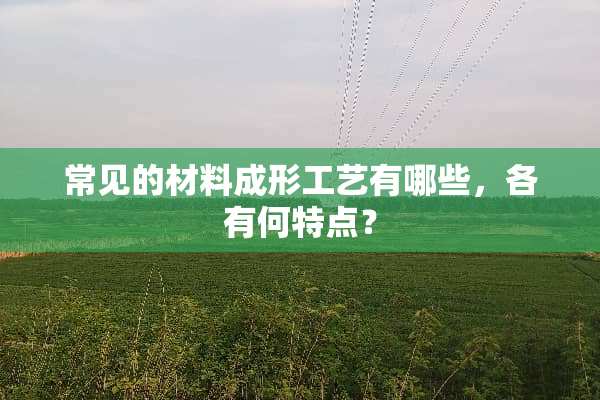 常见的材料成形工艺有哪些，各有何特点？