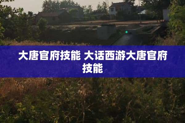 大唐官府技能 大话西游大唐官府技能 大唐官府技能 大话西游大唐官府技能