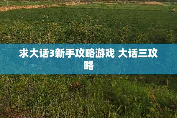 求大话3新手攻略游戏 大话三攻略 求大话3新手攻略游戏 大话三攻略