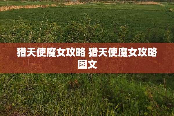 猎天使魔女攻略 猎天使魔女攻略图文 猎天使魔女攻略 猎天使魔女攻略图文
