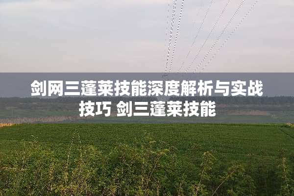 剑网三蓬莱技能深度解析与实战技巧 剑三蓬莱技能 剑网三蓬莱技能深度解析与实战技巧 剑三蓬莱技能