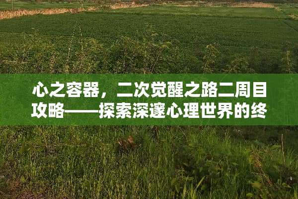 心之容器,二次觉醒之路二周目攻略——探索深邃心理世界的终极指南 心金二周目攻略 心之容器,二次觉醒之路二周目攻略——探索深邃心理世界的终极指南 心金二周目攻略
