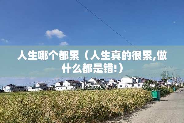 人生哪个都累(人生真的很累,做什么都是错!) 人生哪个都累(人生真的很累,做什么都是错!)