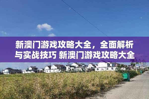 新**游戏攻略大全,全面解析与实战技巧 新**游戏攻略大全 新**游戏攻略大全,全面解析与实战技巧 新**游戏攻略大全