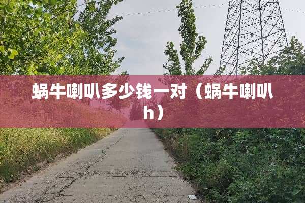 蜗牛喇叭多少钱一对(蜗牛喇叭h) 蜗牛喇叭多少钱一对(蜗牛喇叭h)