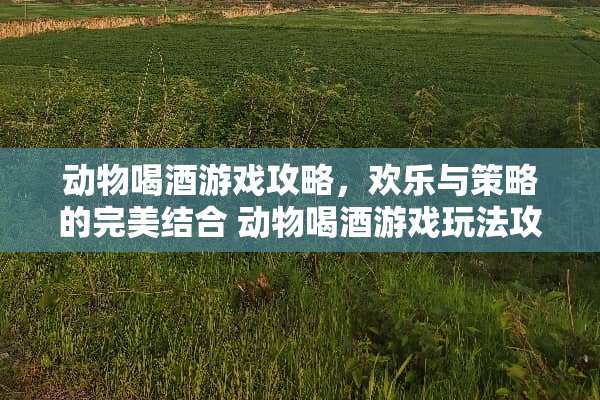 动物喝酒游戏攻略,欢乐与策略的完美结合 动物喝酒游戏玩法攻略 动物喝酒游戏攻略,欢乐与策略的完美结合 动物喝酒游戏玩法攻略