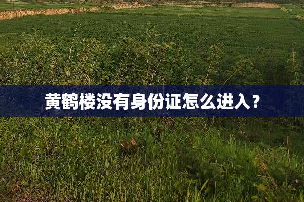 黄鹤楼没有身份证怎么进入？