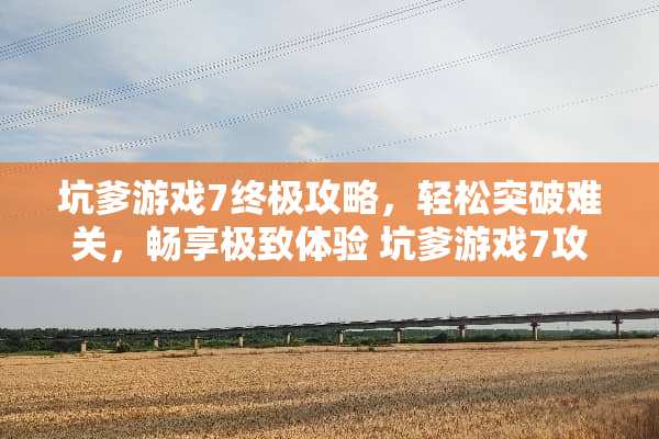 坑爹游戏7终极攻略,轻松突破难关,畅享极致体验 坑爹游戏7攻略22 坑爹游戏7终极攻略,轻松突破难关,畅享极致体验 坑爹游戏7攻略22