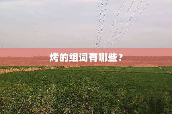 烤的组词有哪些？
