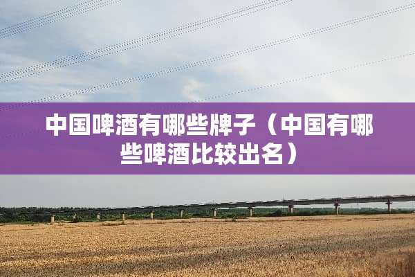 中国啤酒有哪些牌子(中国有哪些啤酒比较出名) 中国啤酒有哪些牌子(中国有哪些啤酒比较出名)
