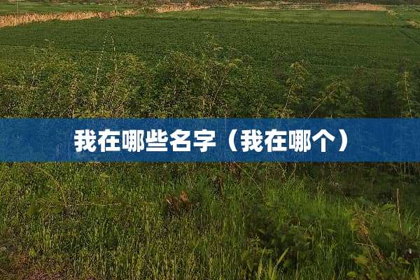 我在哪些名字(我在哪个) 我在哪些名字(我在哪个)