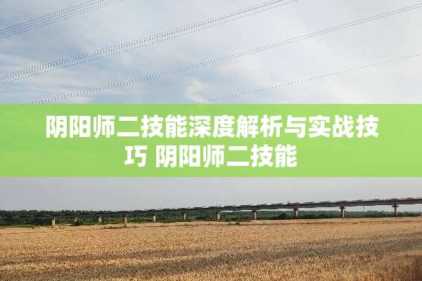 *阳师二技能深度解析与实战技巧*阳师二技能 *阳师二技能深度解析与实战技巧*阳师二技能