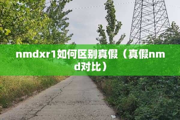 nmdxr1如何区别真假（真假nmd对比）