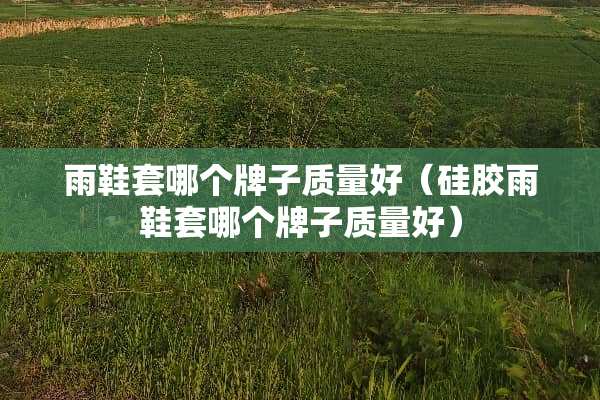 雨鞋套哪个牌子质量好（硅胶雨鞋套哪个牌子质量好）